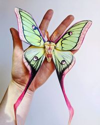 Artist Creates An Incredible Variety Of Realistic Insects Using Only Paper