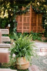 Baskets of ferns as ceremony decor at Cassy & Viva's bohemian Oregon destination wedding at Camp Lane. Image by Forthright Photo.