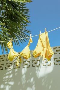 There's nothing more perfect than the warm beach and the Lulus Beach Life Yellow Tie-Front Bikini Bottoms! These cute bikini bottoms are composed of sleek stretch knit fabric that shapes a high-rise silhouette with a tie-front waist (that creates a faux-wrap look) and moderate cheeky coverage. PLEASE NOTE: Swimwear returned without the hygienic liner is non-refundable. Fit: This garment fits true to size. Length: Size medium measures 12.5" from waist to hem. Waist: Fitted - elastic waist allows