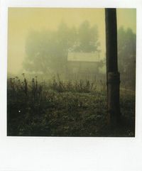 Andrei Tarkovsky’s Polaroids – Instant Light | Graphicine