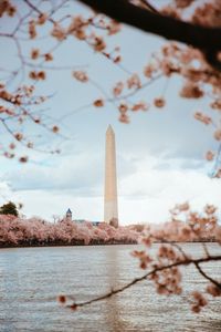 Unveil the magic of Washington DC with these top 5 attractions! From the iconic National Mall to the historic White House, there's something for everyone. Dive into history, culture, and elegance. 📜✨ 📍 The National Mall 📍 The White House 📍 Smithsonian Museums 📍 Georgetown's Charm 📍 The US Capitol Plan your adventure today and make memories in the heart of the USA. 🗺️❤️ #WashingtonDC #TravelUSA #MustSeeDC #ExploreHistory #CapitalAdventures #PlanYourTrip #ExploreDC #DiscoverAmerica