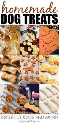 It's National Dog Biscuit Day! Check out this fun list of homemade dog treats! Perfect for the pup in your life!