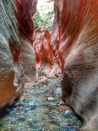 Kannaraville, 40 mins north of St George: At one point in the hike, you'll start walking through the creek (which is nice and cold!)