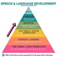 REMINDER: Before a child is able to master the above skills, the skills at the bottom must be achieved first. Now this does not necessarily mean that a child needs to follow this hierarchy in order to be able to understand language, etc. Some of these skills may not be mastered in the exact order of this pyramid. 📩SAVE, TAG, SHARE this visual with other parents who may find this helpful! Thanks for sharing @gracefulexpression.slp