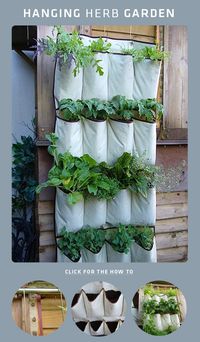 DIY : Hanging Herb Garden *I would use this for all flavors of mint and oregano, thyme, dill, regrowing green onions from the bulb tips, etc. Maybe plant citronella on bottom or lemongrass so it can waterfall down.