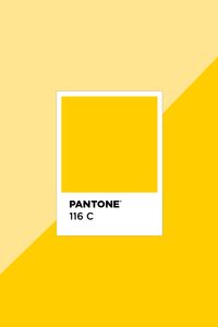 yellow tones, sunshine, sunny, happy colors, earth tones, pantone, nature, inspire, color palette, design inspiration, branding