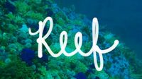 Unique Nature Names for Creative Middles. Another hypermasculine soap opera favorite, Reef doesn't seem that strange in today's world. We can see it on a little blonde surfer boy or someone from Australia or Hawaii. Fits in with other water names that are growing in popularity. #naturenames #unusual #unique #rare #babynames #boynames #name #names #boy #boys #water #ocean