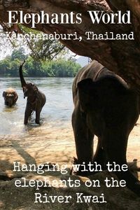 Elephants World in Kanchanaburi Thailand. A day trip you can take from Bangkok to spend a day with these rescue elephants. We took the kids along to check it out. via @worldtravelfam/