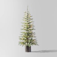 Add the perfect centerpiece to your holiday display with this Pre-Lit Potted Indexed Balsam Fir Artificial Christmas Tree from Wondershop™. This artificial Christmas tree features green branches for a beautiful traditional look, and it comes equipped with 140 clear lightbulbs that cast a sparkling festive glow. This decorative tree designed with pull-down branches is easy to set up and store, and it includes a round metal potted base for instant display on the floor. Welcome to the Wondershop™.