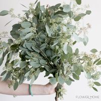 seeded eucalyptus, diy wedding greenery, popular wedding greenery, seeded euc, flower moxie