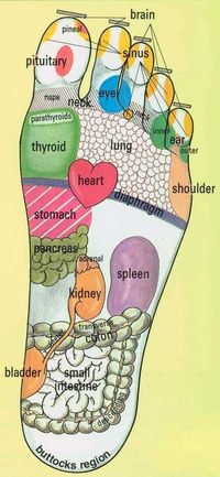 Reflexology of the Foot and the Organs – Waking Times – Infinite Shift