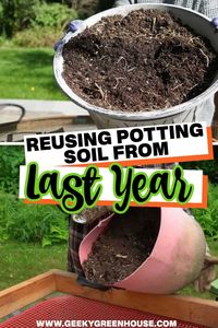 The process of reusing potting soil from last year is very simple. In this post, I'll go through the process step-by-step.