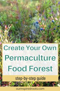 Transform your yard into a thriving oasis with our guide on How to Create a Permaculture Food Forest or Forest Garden! Perfect for those passionate about gardening and permaculture, this post offers step-by-step instructions and tips. Ideal for beginner gardeners, you'll learn how to design a sustainable food forest that produces abundant harvests with minimal effort. Start your permaculture journey today!