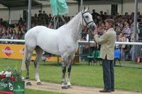 Andrew Nicholson and Avebury (dream horse)