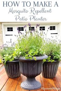 Learn how to make a gorgeous mosquito repellent patio planter with 2 common plants from your local nursery! How to Make a Mosquito Repellent Patio PlanterFor those of you who have been following along with our French Country Cottage fixer-upper on my Instagram stories, then you have seen that we are finally in the process of working on the outdoor living area in the back including the addition of a paver patio on the side of our deck and garden boxes with a fire pit in the back. Fi…