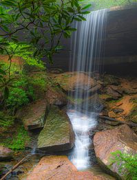 17 Beautiful Kentucky Waterfalls on the Waterfalls Trail | explorekywildlands.com