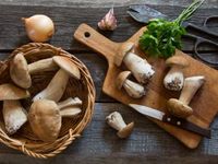 Alton's Ingredient Alchemy: How to cook Mushrooms