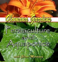 Olomana Gardens Permaculture and Aquaponics