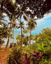 Embracing the sunshine and sandy vibes in Cabo de Rama, South Goa☀️🌴 #CaboDeRama #SouthGoa #GoaViews #GoaTravel #GoaBeaches #ExploreGoa #GoaAdventure #CaboDeRamaFort #GoaDiaries #GoaSunsets #GoaGetaway #HiddenGemsGoa