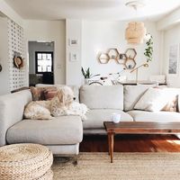 cozy yet bright and airy living room with a light gray couch.. featuring adorable doggy!