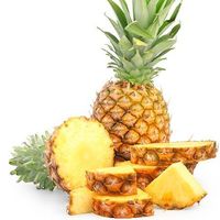 Elite Gold Pineapples for Sale – FastGrowingTrees.com