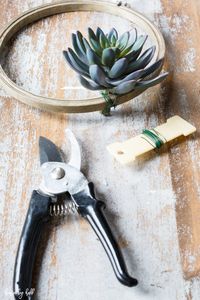 DIY Succulent Embroidery Hoop Wreaths via House by Hoff