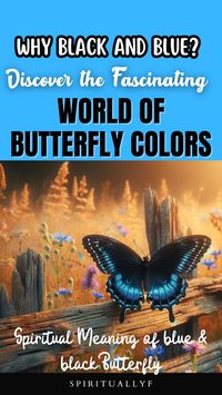 Dive into the mesmerizing colors of butterflies with our in-depth look at why these creatures sport black and blue hues. Uncover the secrets behind their vibrant patterns and how they adapt to their environments. Perfect for nature enthusiasts and butterfly aficionados! Learn, explore, and share your love for nature's delicate artistry. 🌼🔍 #ButterflyColors #NaturePhotography #WildlifeExploration