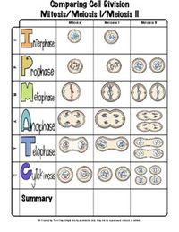 This is one of many anchor charts for Biology. These have completely changed the way I teach and condensed the material to allow for more hands on activities, small group learning, collaborative learning, and independent practice during class time.This activity does not include an answer key becaus...