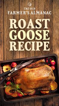 Traditionally, roast goose is the finest possible and most historic fare for a holiday dinner. (Remember that scene from Charles Dickens’s “A Christmas Carol”?) For an old-fashioned feast, here’s a recipe for how to roast and cook a goose.