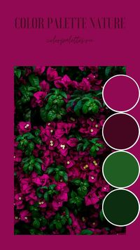 Bright pink flowers are a combination in nature. #pink #codeHEX #darkgreen #naturalcombinations #colorpalette #brightcolors #color type