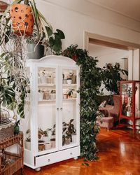 🍃 We feature the best of #indoorplantsdecor 😍 ! Follow us for inspiration and to spread the love of beautiful Indoor Plant Decor 🌿 -- Featuring @sphynx_n_plants