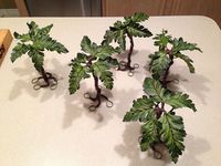 Want a dash of green for your city? Or maybe a whole jungle board for Paradiso? Well here is how you can make really cheap and easy trees for your boards...In a quest for foliage to fit in with my Infinity terrain I looked high and low. While I could have taken the expensive pre built approach, a bu