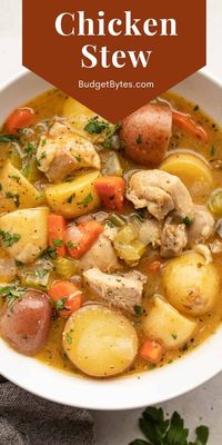 This chicken stew is a rich and hearty mix of tender chicken thighs, vegetables, and a light but flavorful herb-infused gravy. BudgetBytes.com