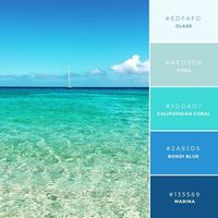 Build Your Brand: 20 Unique and Memorable Color Palettes to Inspire You – Design School