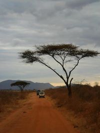 Kenya, Africa :)  the perfect African tree!!