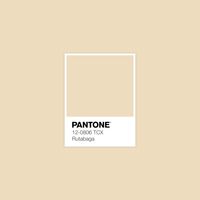 Explore ALL 2,625 Pantone Colors Instantly in FREE Gallery! · PANTONE 12-0806 TCX Rutabaga Color · #Pantone #Color #ColorShade #Design · @pantonecolor · Kid’s Pattern