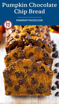 This pumpkin chocolate chip bread is a tender loaf of lightly spiced bread made with pumpkin puree and plenty of chocolate chips.