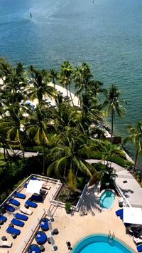 Discover opulence at its finest with a stay at the Mandarin Oriental Miami. Indulge in breathtaking bay views, luxurious accommodations, and unparalleled service. Elevate your Miami experience with a touch of Asian-inspired elegance. Your gateway to a world of sophistication awaits! 🌴🌟 #MandarinOrientalMiami #LuxuryTravel #MiamiGetaway