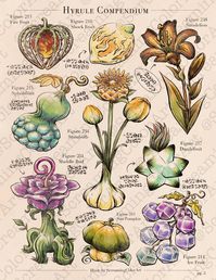 Botanical-style illustration of various items from Legend of Zelda: Tears of the Kingdom. Letter size or 11x17 print on matte photo paper. Actual print is unwatermarked. NOTE: This design is a companion piece to my first Hyrule Compendium page, which gets stolen and resold more than any of my other art. If you see it listed for sale anywhere else, including on clothing, please do not support the seller and kindly report the listing. Thank you!