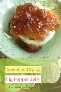 Fig Pepper Jelly tops off a cool block of cream cheese made with figs, jalapeno peppers, and honey for a warm, sweet finish. You can eat it on cream cheese with crackers or use the jelly as a dip for chicken strips, a sweet and sour sauce, or warm it up and pour it over ice cream.