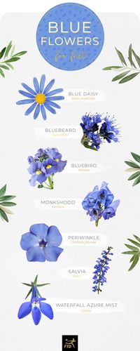 30 Types of Blue Flowers - FTD.com