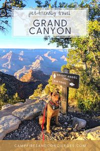 Are dogs allowed at the Grand Canyon? Yes! Find out where dogs are allowed at Grand Canyon National Park and Pet-Friendly Hotels near Grand Canyon | Grand Canyon | Dogs | Travel | Airedale Terrier