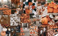 Aesthetic fall collage for computer background #aesthetic #fall #computerwallpaper