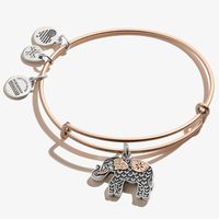 Elephant Charm Bangle Bracelet, Two-Tone - Alex and Ani – ALEX AND ANI