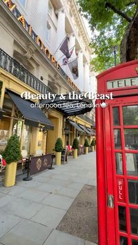 Magical afternoon tea experience in London✨🫖 Be Our Guest: The Enchanted Rose afternoon tea- Inspired by Beauty & The Beast🥀 📍Homage Restaurant, The Waldorf Hilton, Aldwych, WC2B 4DD @homage_waldorf @waldorfhilton 📸 @kseniia.journey *pr #london #afternoontea #beautyandthebeast #londonthingstodo