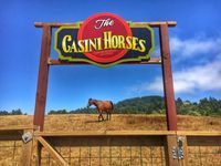 Welcome to Casini Ranch Family Campground! Located in Sonoma County, this family-owned and operated campground and RV park will give you a camping experience to remember.