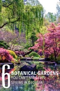 Springtime warms up nicely at botanical gardens all over Georgia. Enjoy that special sweetness in the air as nature awakens with colorful displays. Stroll among millions of cheery daffodils, brilliantly colored tulips, iconic dogwoods and many more amazing blooms at botanical gardens like these.