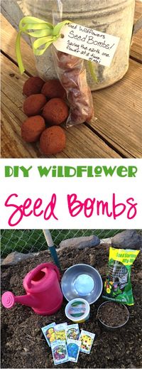 DIY Wildflower Seed Bombs Tutorial! ~ at TheFrugalGirls.com ~ these make such fun gifts, too! #gardening