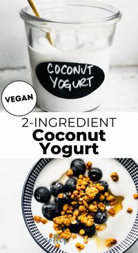 This easy Coconut Milk Yogurt has a thick, creamy consistency and a tangy taste for the best homemade vegan yogurt recipe. Made with a base of 2 simple ingredients, it’s easy to make, budget-friendly, and better than store-bought yogurts you find at your local grocery store.