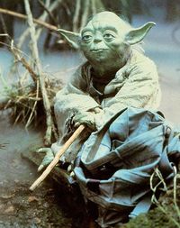 Wisdom from the swamp - Yoda